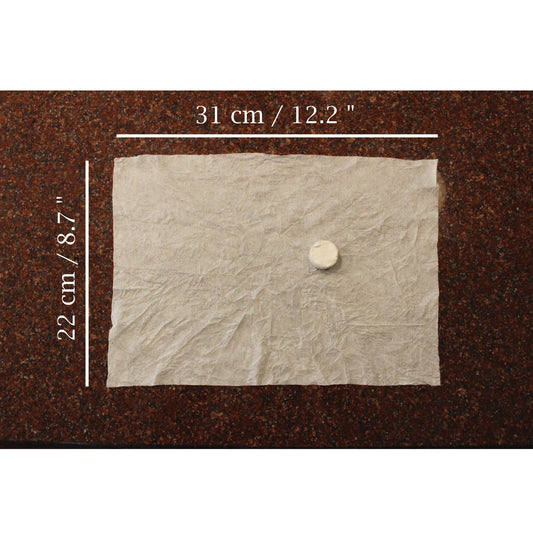 Bamboo Fiber Compressed Towels — 100 Pack